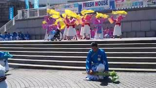 ハマこい2019 「RHK Bay Dream」