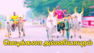 மணல்மேல் குடி💥 பெரிய மாடு ரேக்ளா பந்தயம்💥