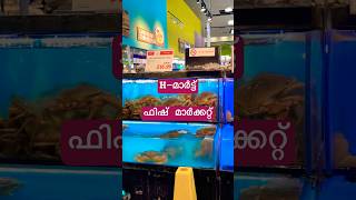 അമേരിക്കയിലെ H-മാർട്ട്, ജപ്പാനീസ്, ചൈനീസ്, കൊറിയൻ ഫുഡ് ഐറ്റസംസ് വിൽക്കുന്ന കട #hmart #usa