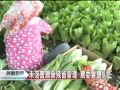 20120208 公視晚間新聞 抽檢賣場蔬果 多項農藥超標‧混用.mpg