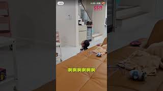 #李梓嘉 #印度 #羽球 #羽毛球 #李梓嘉羽毛球 #fyp #fypシ #viral #viralvideos