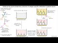 Lecture 7a: Clinical Diagnostics