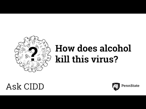 Does alcohol kill bacterial infection?