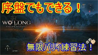 かけいが難しすぎる…最初のステージ出来る！無限パリィ練習法！【ウォーロン】