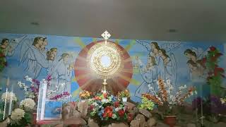 Adoration hall in kadapa Arogya Matha Church