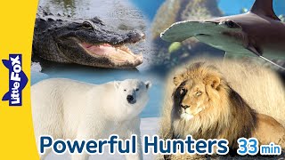 Powerful Hunters in Animal Kingdom | Predators | Shark, Crocodile, Cheetah, Bear, Wolf, Tiger, Lion