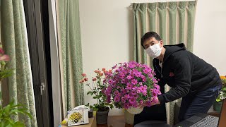 ◆【マーガレット】【春のお花】などなどなんでも的な…