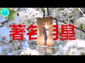 鞠婧祎《月鳞绮纪》水下戏路透，破碎服饰显魅惑，眼神灵动鼻子精