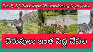 కదిరి:చేపలు పట్టడానికి  ఎగబడుతున్న కదిరి పట్టణ ప్రజలు!!NCULOCALNEWS