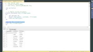 SQL 2012 Developer tutorial: Stored Procedures