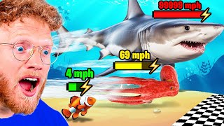 BECKBROS React To FASTEST FISH SPEED COMPARISON