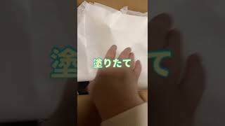 塗りたて　更に　弁当　漆器　曲げわっぱ　純国産