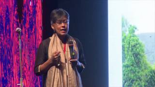 Looking around, not looking down: What Adivasi lives can teach us | Nandini Sundar | TEDxDTU