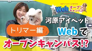 Webオープンキャンパス ～体験授業　トリマー編 ～ 【河原アイペットワールド専門学校】