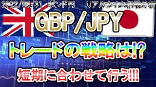 【今後のトレード戦略】目先は短期に合わせて行う！《FX・相場分析》