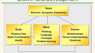 Developmental Assessment: Gateway to Early Intervention