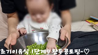 [230124] 초기 1단계9 완두콩 토핑, 오감이유식 아가반응 볼까요♡