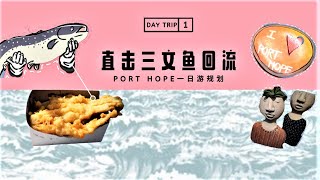 多伦多一日游|直击PORTHOPE三文鱼回流🐟