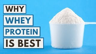 Why Whey Protein Is the Best Protein You Can Take