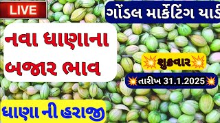 નવા ધાણા ના ભાવ / ધાણાના બજાર ભાવ / ધાણાના સૌથી ઊંચા ભાવ / ગોંડલ ધાણા ના બજાર ભાવ / 31.1.2025