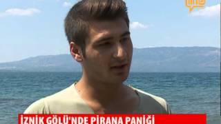 İznik Gölü'nde Pirana Paniği  02 Temmuz 2015