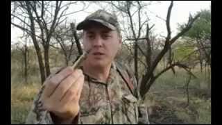 #Andrew MacLeod#Titan Bullets - Bushpig  and  Gemsbuck  hunt