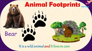 Animal Footprints | Animals Track Identification | Domestic and Wild Animals  Footprints -Kids Entry