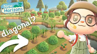 DIAGONAL farms \u0026 paths TUTORIAL!