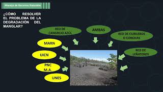 MRN 113D EJEMPLOS DE GOBERNANZA,APLICADOS AL MANEJO DE LOS RECURSOS NATURALES