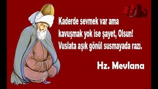 Mevlana Sözleri...Sabır Boyun Eğmek Değil,Mücadele Etmektir...İlaç Gibi...!!!