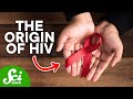 How HIV First Started in Humans