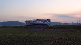 関東鉄道常総線　心の旅路　キハ2204号下館行　花が見守る八幡路　2014/10/26