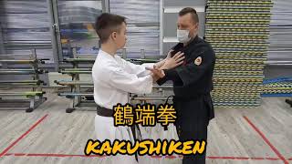 鶴 端 拳 kakushiken / bunkai alternative / Sanseiryu kata Uechi ryu karate 龍敏道場 Ryubin dojo 上地流