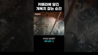 '동해바다 로또' 카메라에 담긴 개복치 잡는 순간 | 리얼다큐 숨