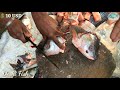 amazing rohu fish scaling u0026 cutting techniques by bangladeshi fisherman big rui fish cutting video