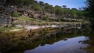 Doğada Yürüyüş, 4K - Walking in Nature, 4K