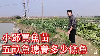 【石頭記事】小鄧今天買魚苗，5畝的魚塘，看看可以養多少條魚