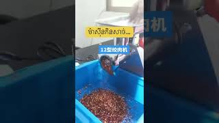 ម៉ាស៊ីនកិនសាច់…#meatgrinder