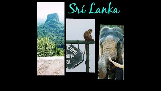 8. Srí lanka