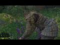 kcd2 how to finish pick chamomile pick sage kingdom come deliverance 2