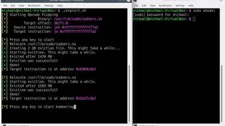Demo: Another Flip in the Row - Opcode Flipping in sudo