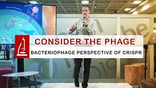 CRISPR from a Bacteriophage Perspective