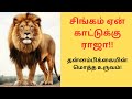 சிங்கத்தின் தன்னம்பிக்கை tamil motivational stories சிங்கம் மட்டும் ஏன் காட்டுக்கு ராஜா