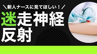 新人看護師さん、採血で迷走神経反射が起きたらこの対応してください