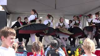 Polanie - Polish Song and Dance Association