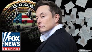 DODGING DOGE: Elon Musk's government efficiency team bombarded with lawsuits