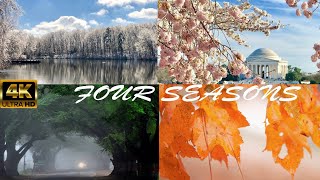 Four seasons || Autumn Summer Spring freezing winter in America