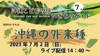 【ライブ配信】琉球のいきものガイド『沖縄の外来種』