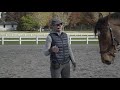 how to improve your horse s jump by trotting the vertical.