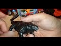 unboxing review godzilla x kong the new empire suko with titanus doug